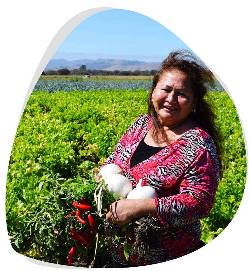 farmer-catalan