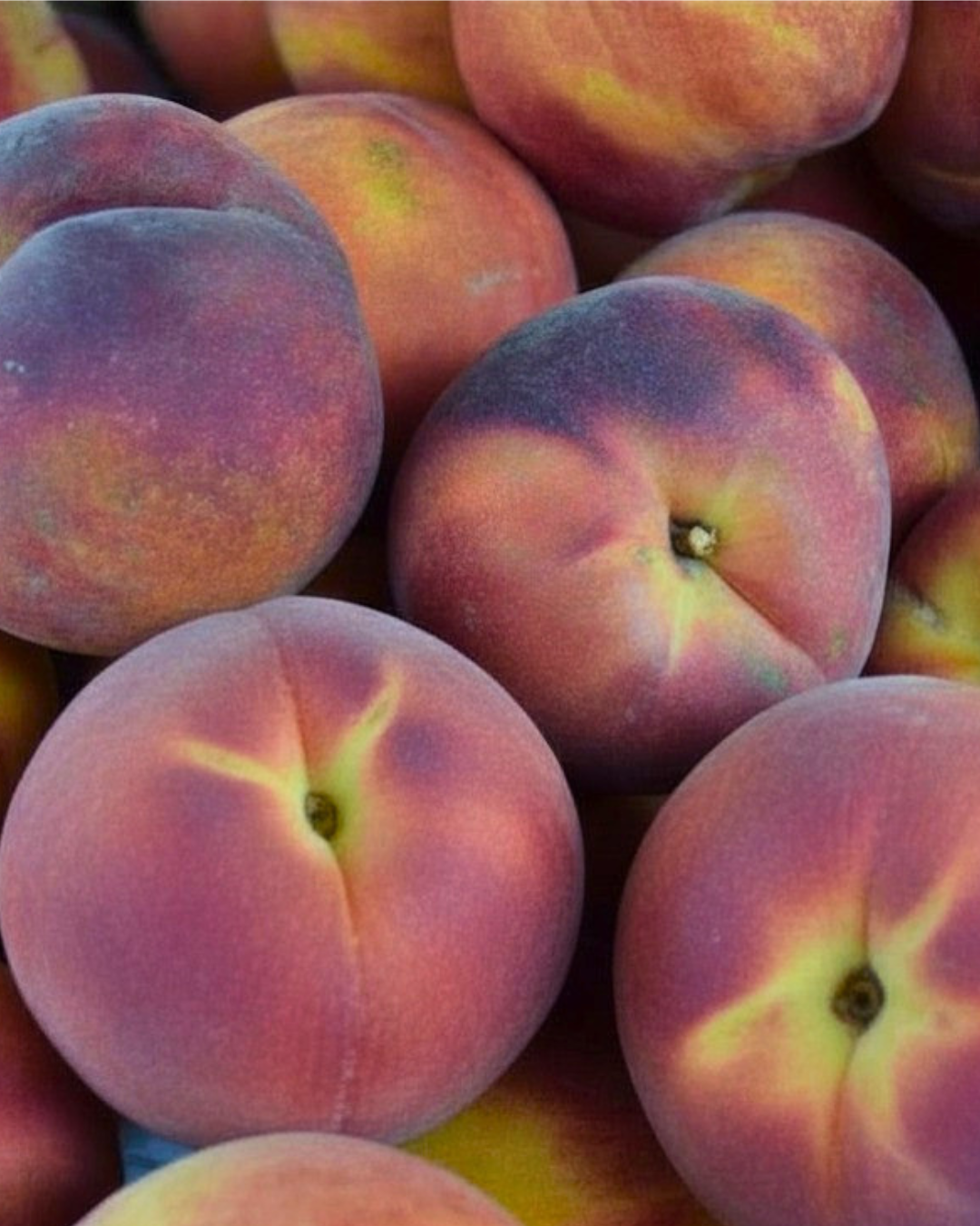 yellow peaches from J & J Ramos Farm in Mandela CSA located in West Oakland, CA