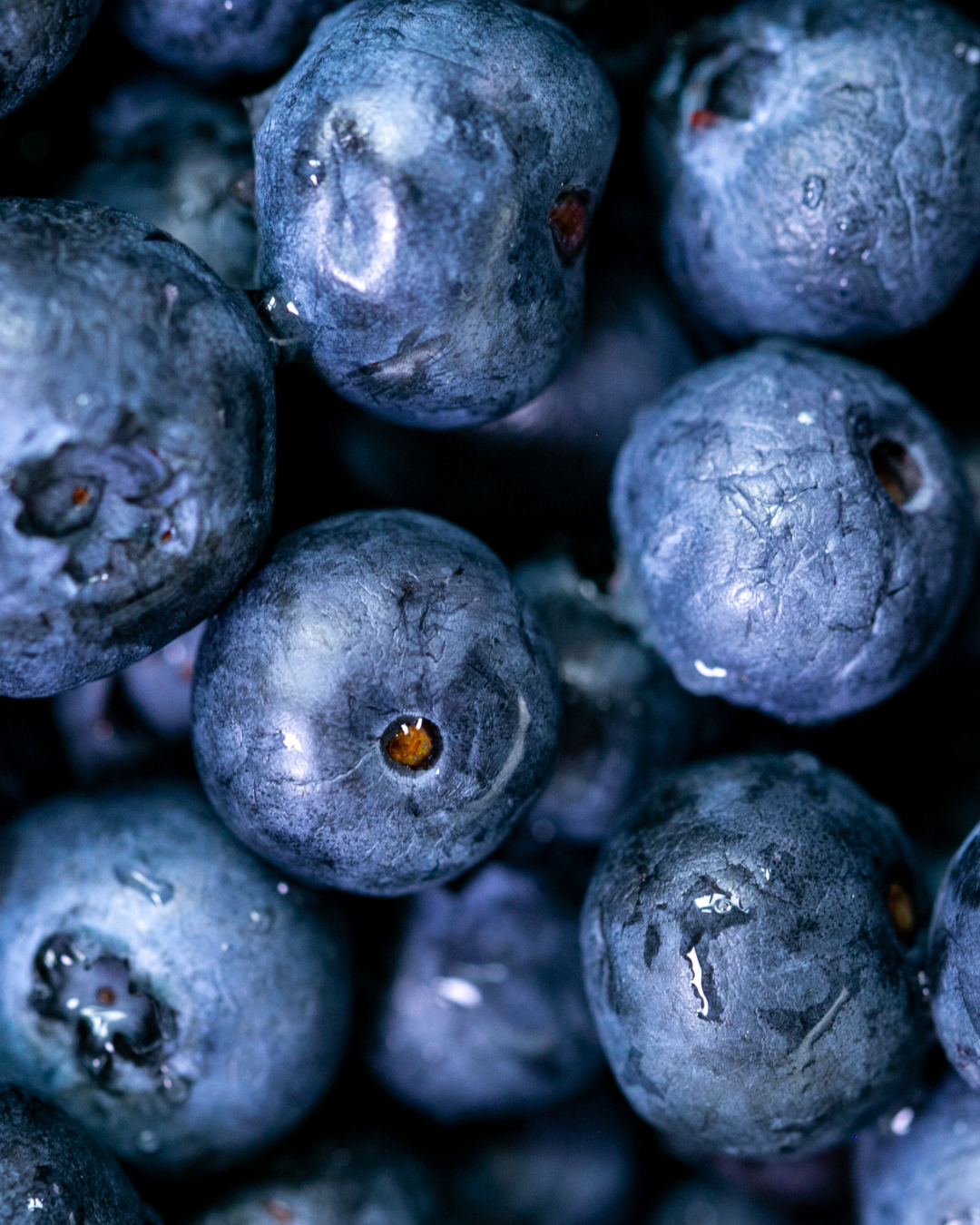 Blueberries from The Berry Spot in Mandela CSA located in West Oakland, CA
