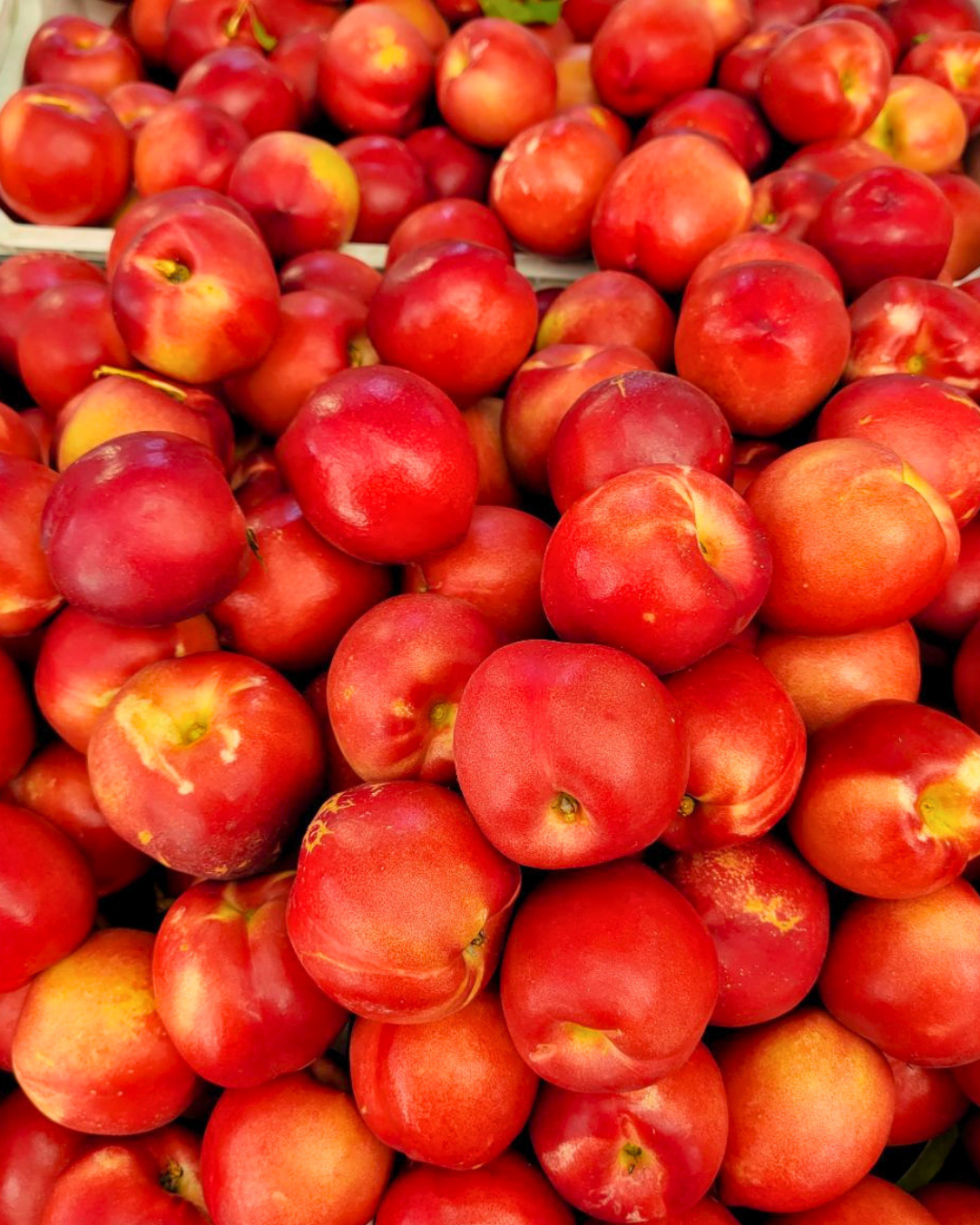 White Nectarines from Paredez Farms in Mandela CSA located in West Oakland, CA