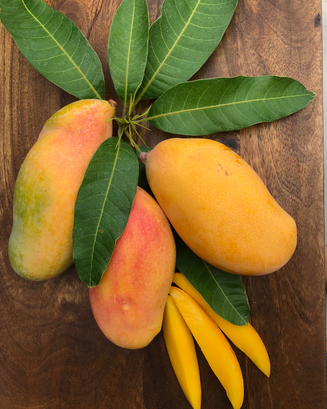 Valencia Pride Mangoes from Wong Farms in Mandela CSA located in West Oakland, CA