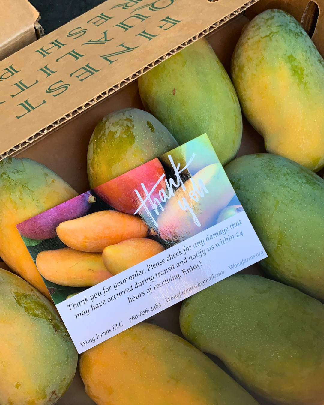 Valencia Pride Mangoes from Wong Farms in Mandela CSA located in West Oakland, CA