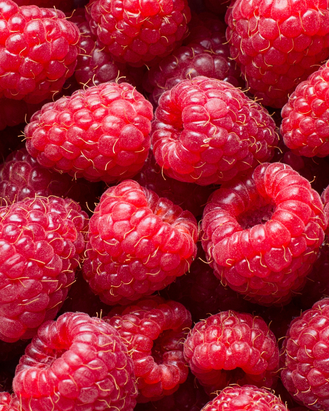 Raspberries from Yerena Farms in Mandela CSA located in West Oakland, CA