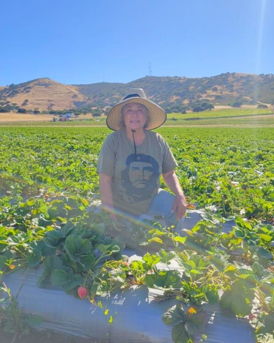 Royally Grown Organics ​​