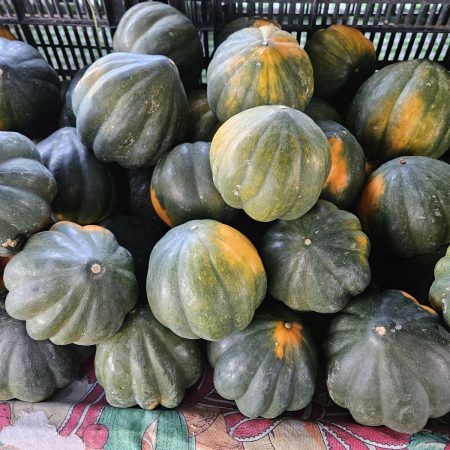 Acorn squash. Avila 2025 Acorn squash. Avila 2025