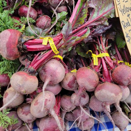 Beets. Oya 2023 Beets. Oya 2023