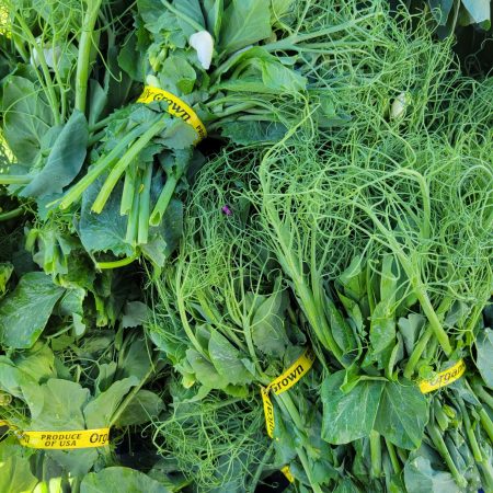 Pea Shoots. Oya Organics 3.11.25 Pea Shoots. Oya Organics 3.11.25
