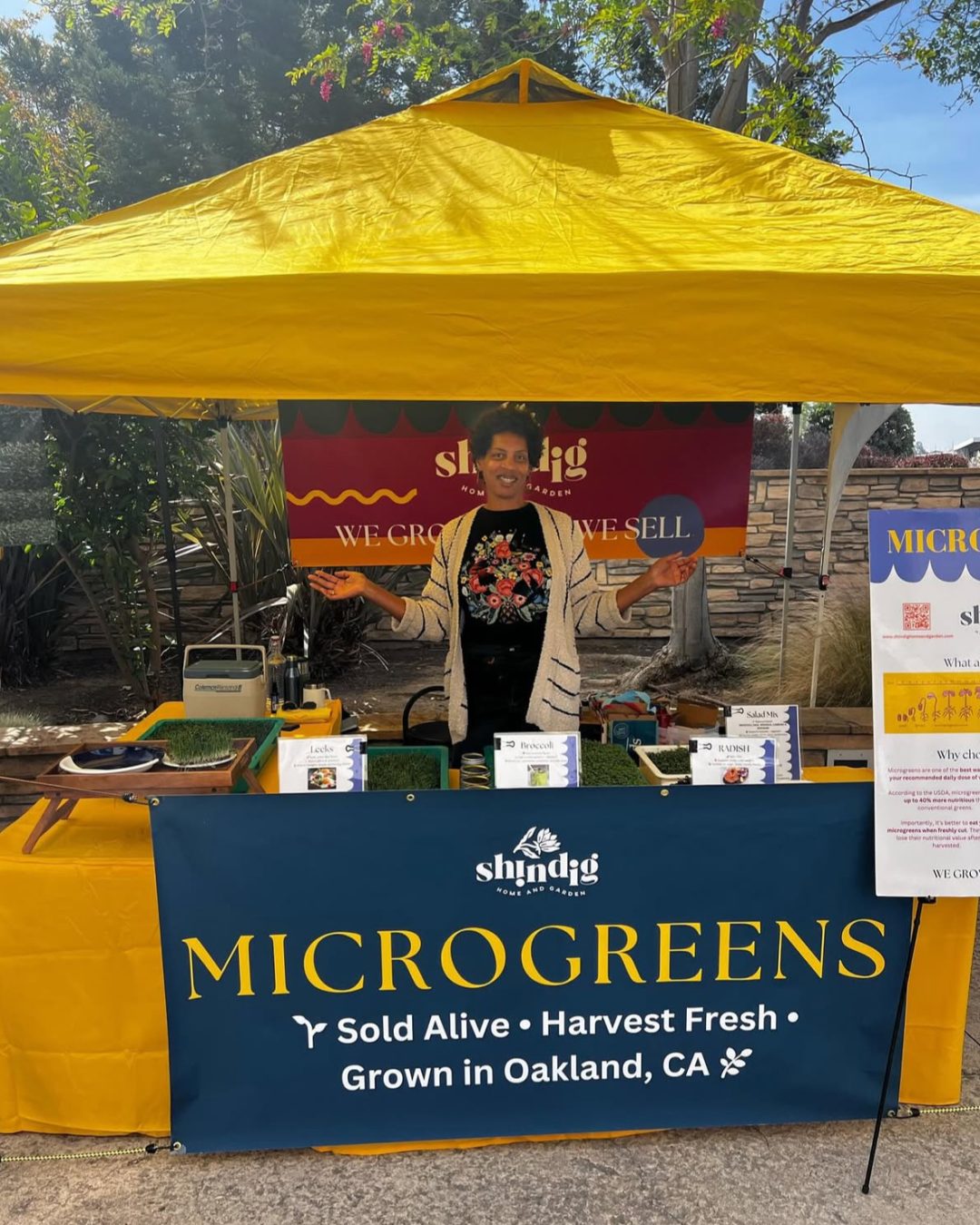 Screenshot 2026-02-11 at 3.08.57 PM