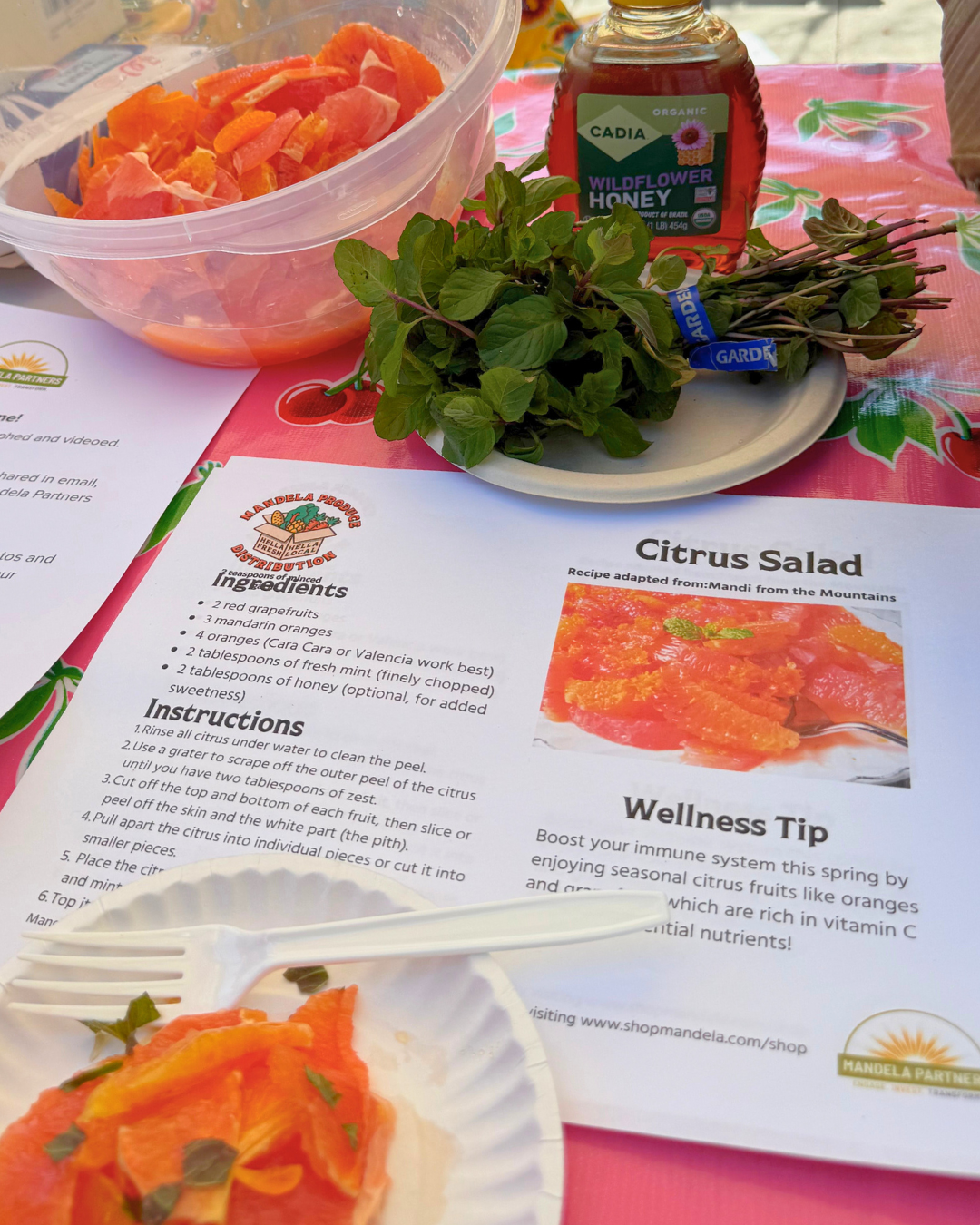 taste test citrus salad