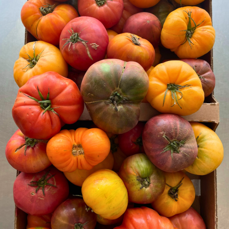 heirloom tomatoes from royally grown organics heirloom tomatoes from royally grown organics