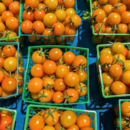 sungold tomatoes sungold tomatoes