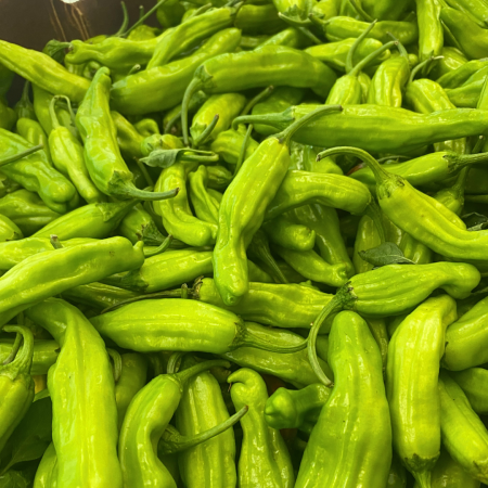 shishito peppers – catalan shishito peppers - catalan